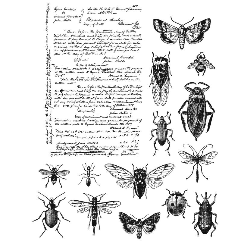 Tim Holtz Cling Stamps - Entomology - bélyegzőszett