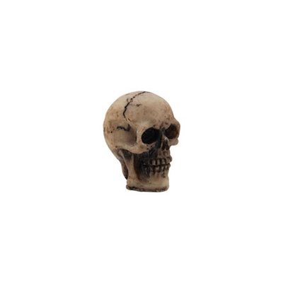 Tim Holtz Idea-ology Halloween Skulls - koponyák (6db)