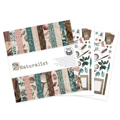 Naturalist - 12"-es maxi kollekció (12 db 2 oldalas papír + 2 db kivágóív)