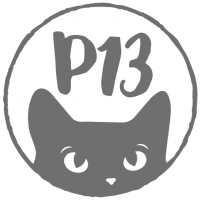 P13 - Piatek